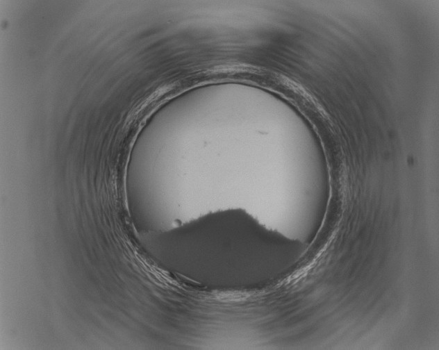 X0000068840825200605261638