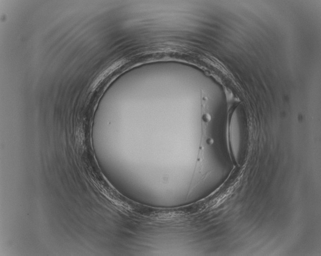 X0000068840826200605261638