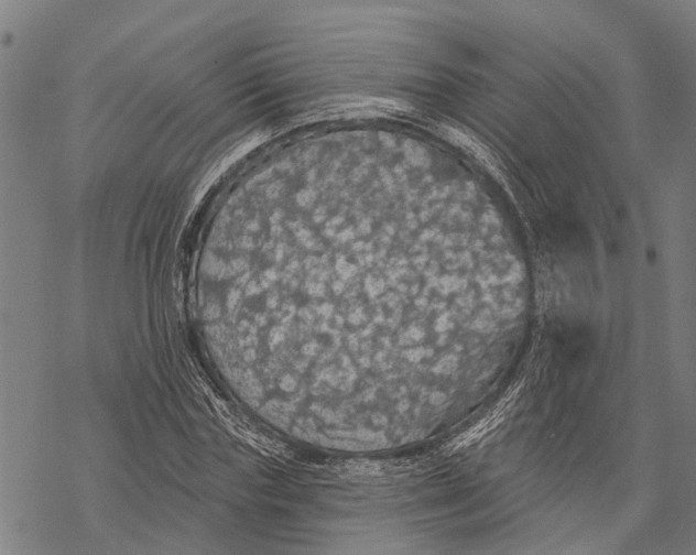 X0000068840827200605261638