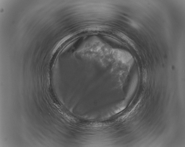 X0000068840829200605261638