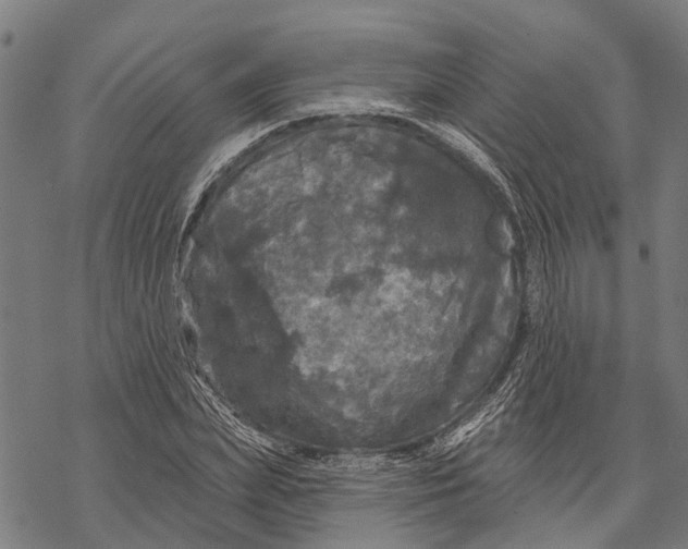 X0000068840831200605261638