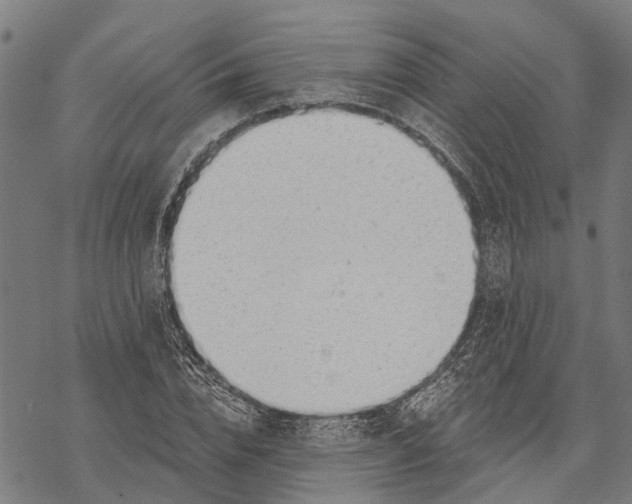 X0000068840832200605261638