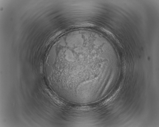 X0000068840833200605261638