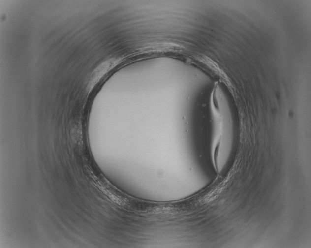 X0000068840834200605261638