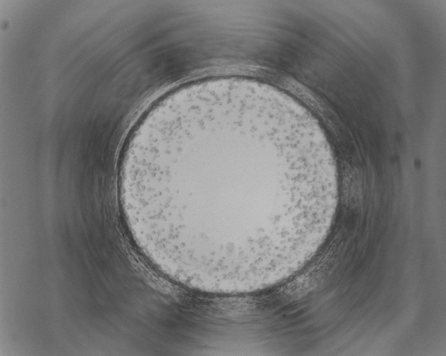 X0000068840836200605261638