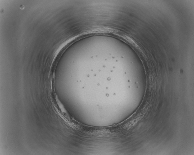 X0000068840838200605261638