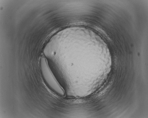 X0000068840841200605261638