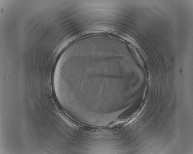 X0000068840842200605261638