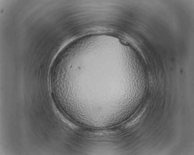 X0000068840843200605261638