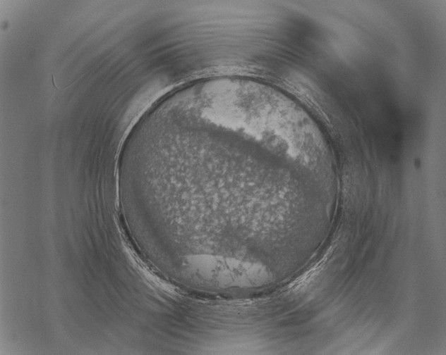 X0000068840844200605261638