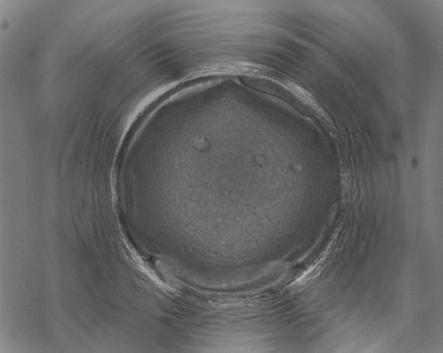 X0000068840846200605261638