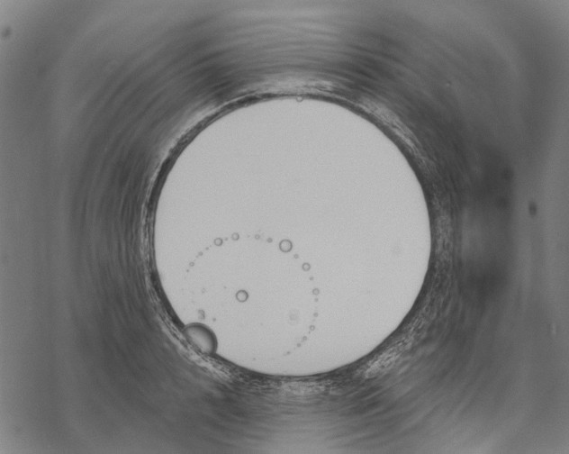 X0000068840848200605261638