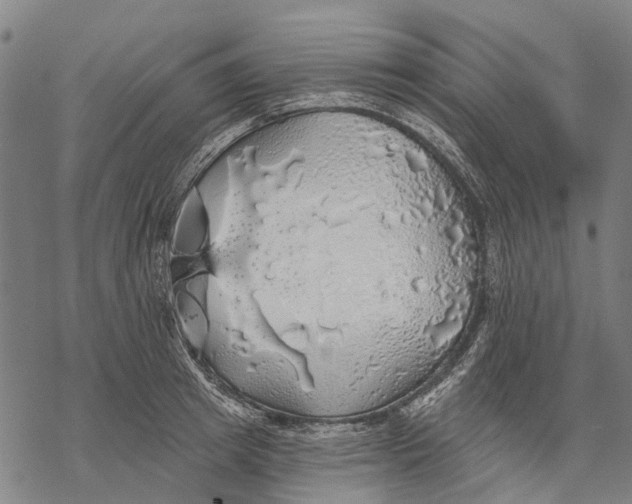 X0000068840849200605261639