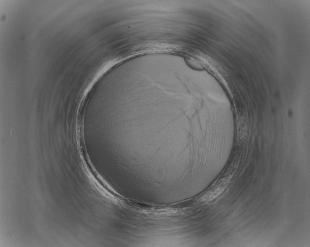 X0000068840851200605261639