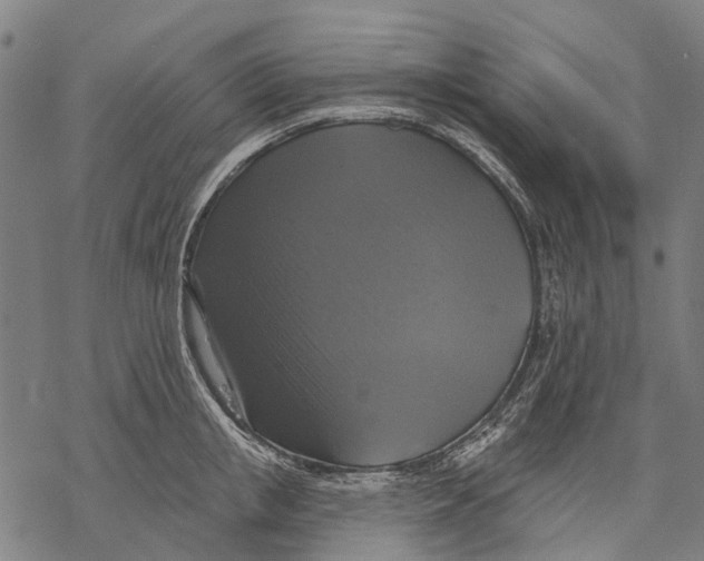 X0000068840853200605261639