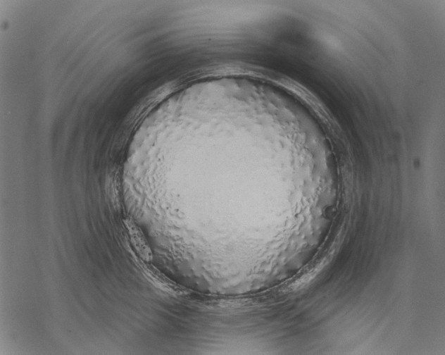 X0000068840857200605261639