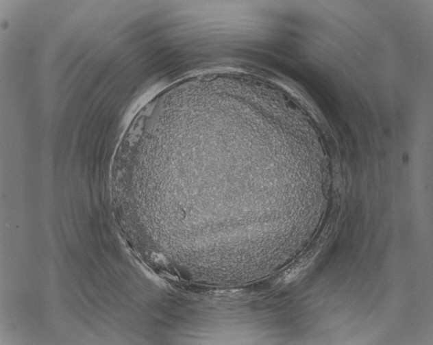 X0000068840858200605261639