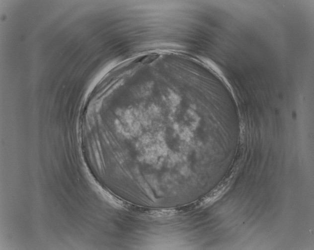 X0000068840859200605261639