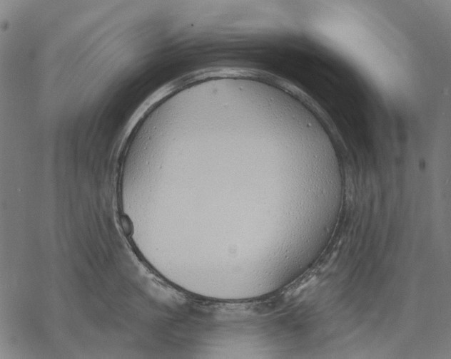 X0000068840861200605261639