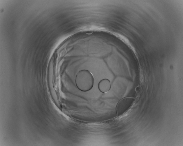 X0000068840863200605261639