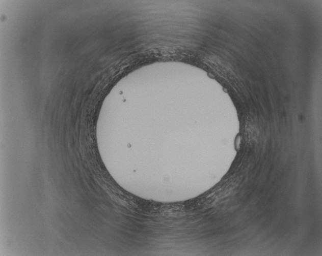 X0000068840865200605261638