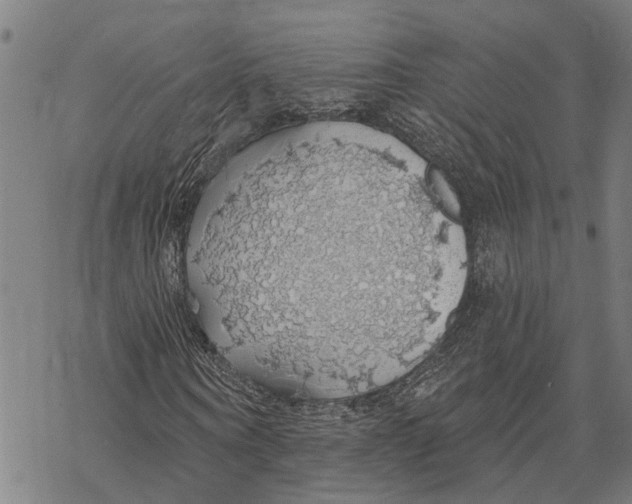 X0000068840866200605261638