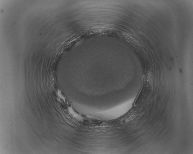 X0000068840868200605261638