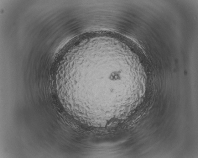 X0000068840871200605261638