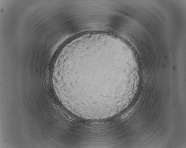 X0000068840875200605261638