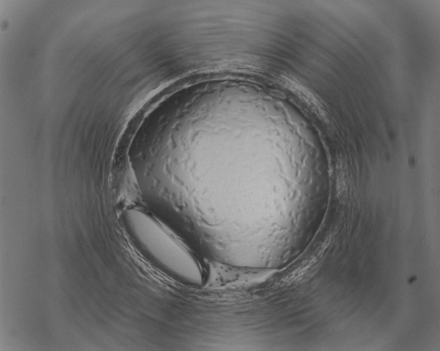 X0000068840876200605261638