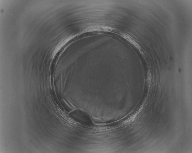 X0000068840877200605261638