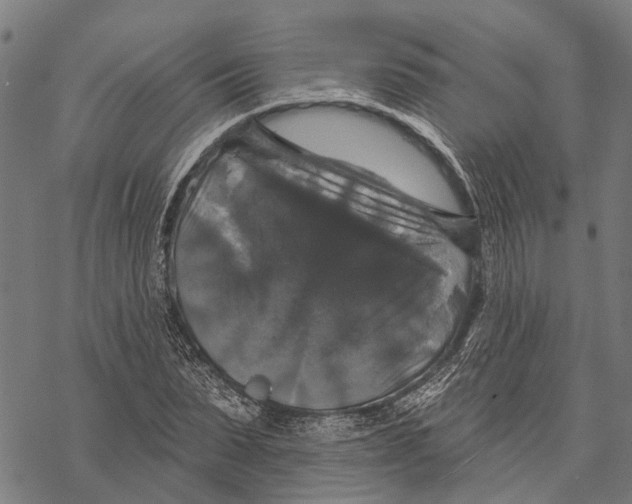 X0000068840879200605261638