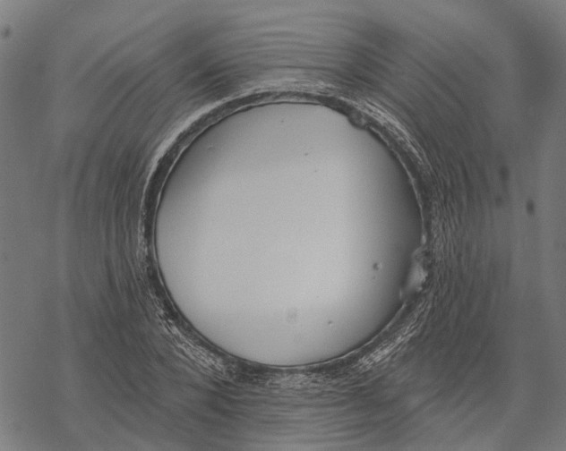 X0000068840880200605261638