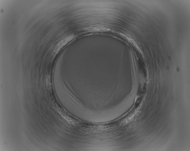 X0000068840881200605261638