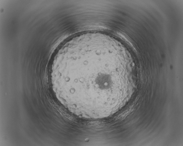 X0000068840883200605261638