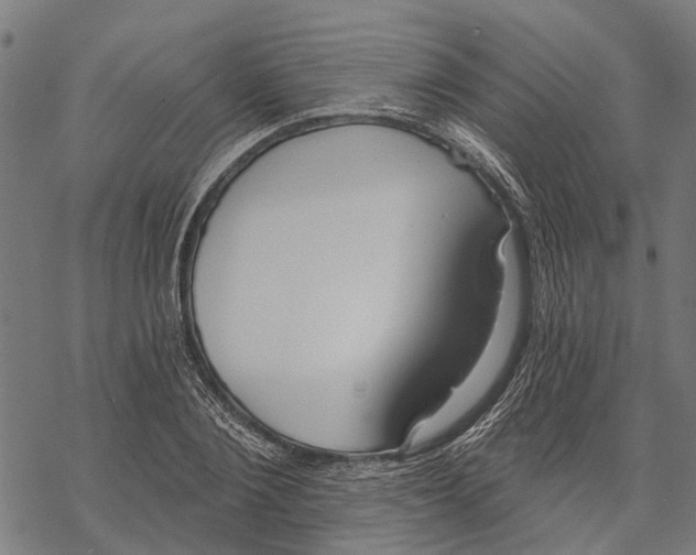 X0000068840884200605261638