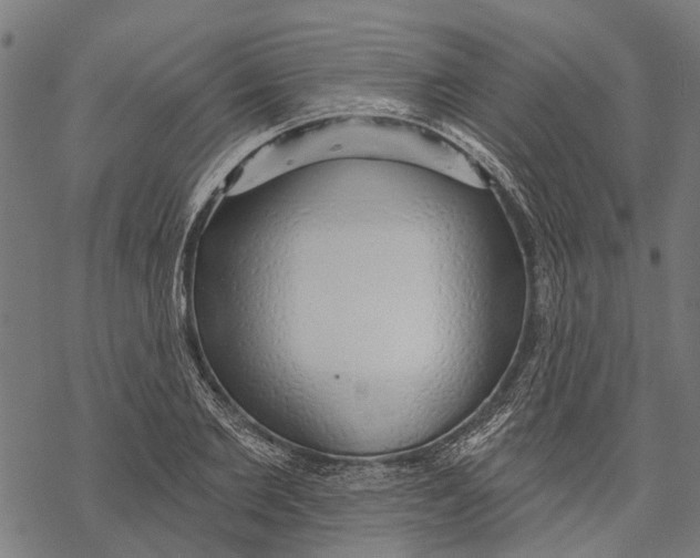 X0000068840885200605261638