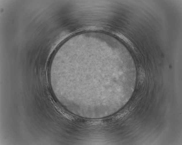 X0000068840886200605261638