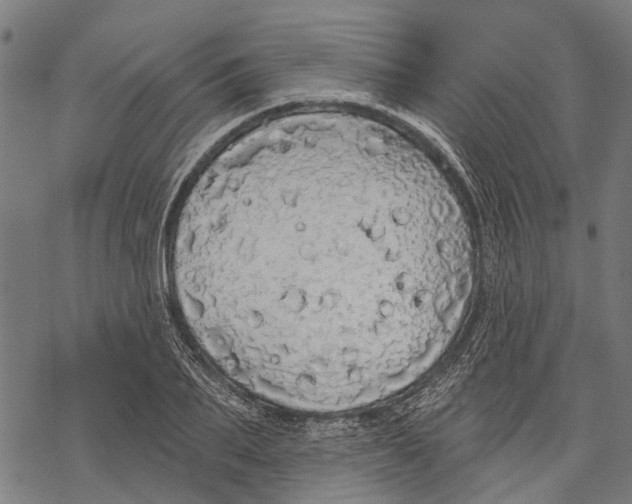 X0000068840887200605261638