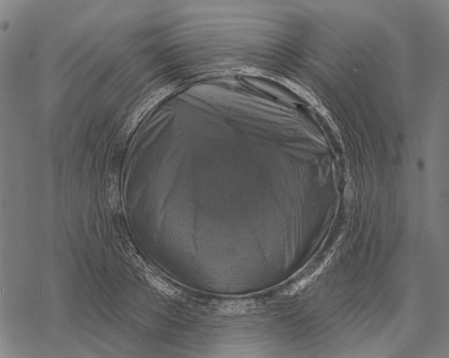 X0000068840889200605261637