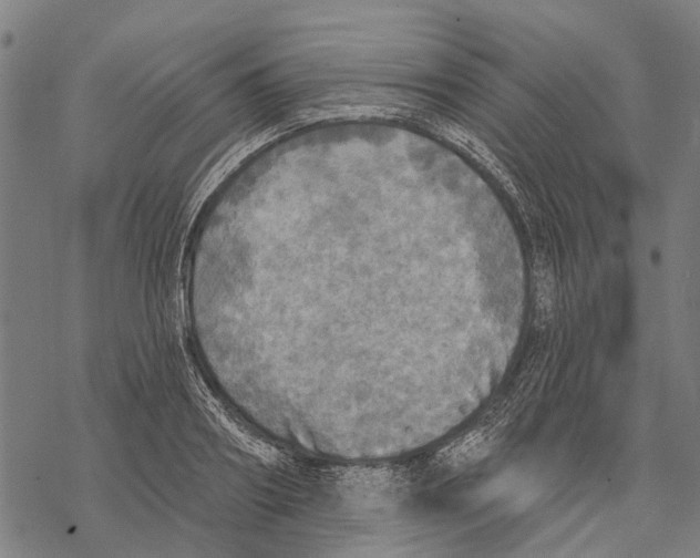 X0000068840890200605261637