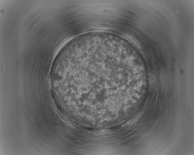 X0000068840891200605261637