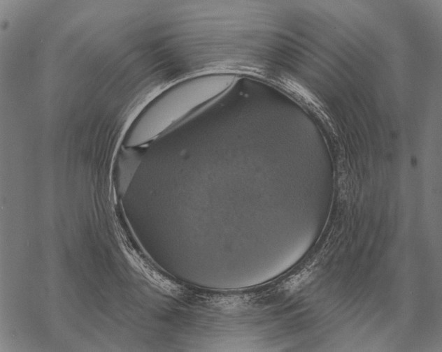 X0000068840892200605261637