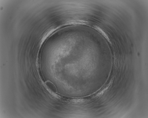 X0000068840893200605261637