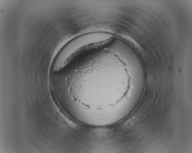 X0000068840894200605261637