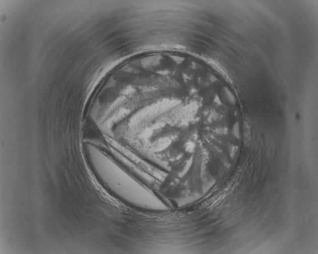 X0000068840895200605261637