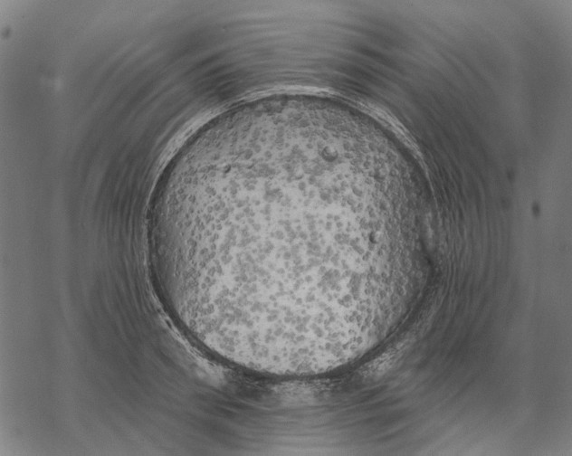 X0000068840898200605261637