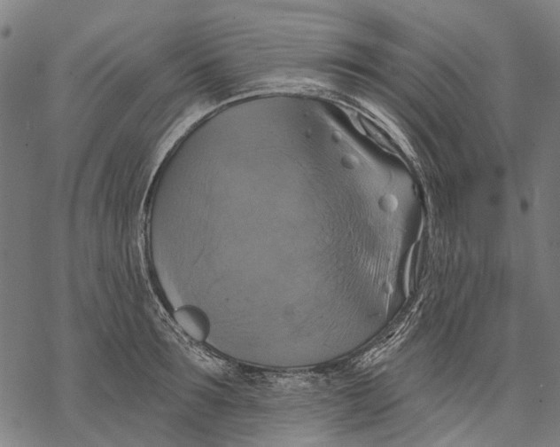 X0000068840899200605261637