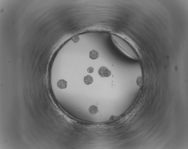 X0000068840902200605261637