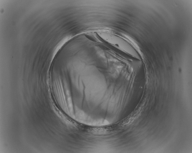 X0000068840907200605261637